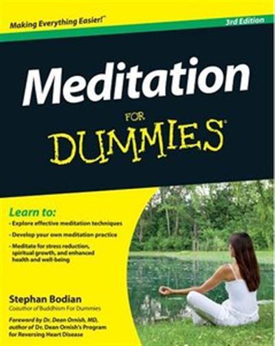 Meditation For Dummies, 3rd Edition