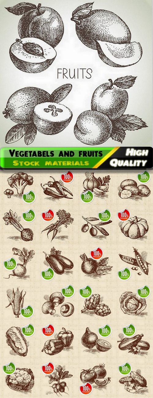 Hand drawn vegetabels and fruits - 25 Eps