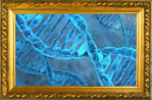 Ученые расшифровали древную ДНК человека