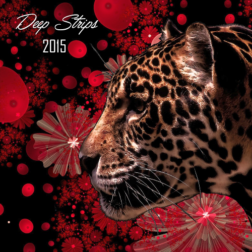 Deep Strips Year End (2015)