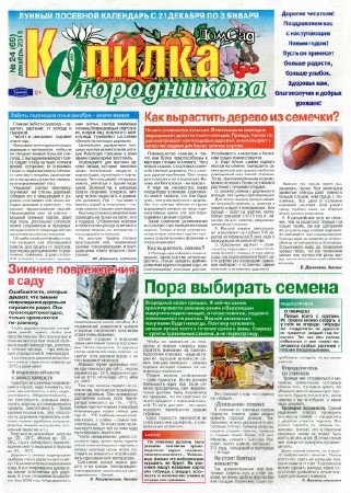  Копилка огородникова №24 (декабрь 2015)    