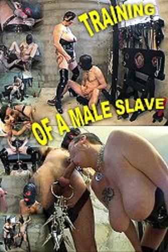 Training Of A Male Slave (2007/DVDRip)