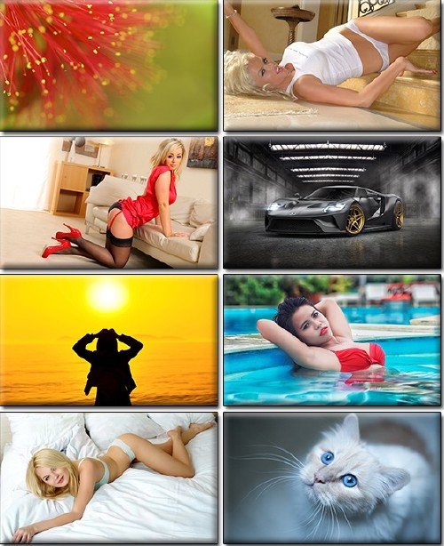 LIFEstyle News MiXture Images. Wallpapers Part (885)
