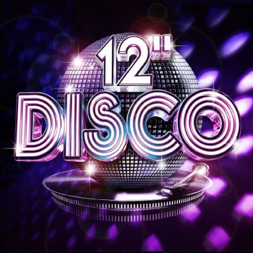 VA - 12" Disco (2013) [+ mix +flac]