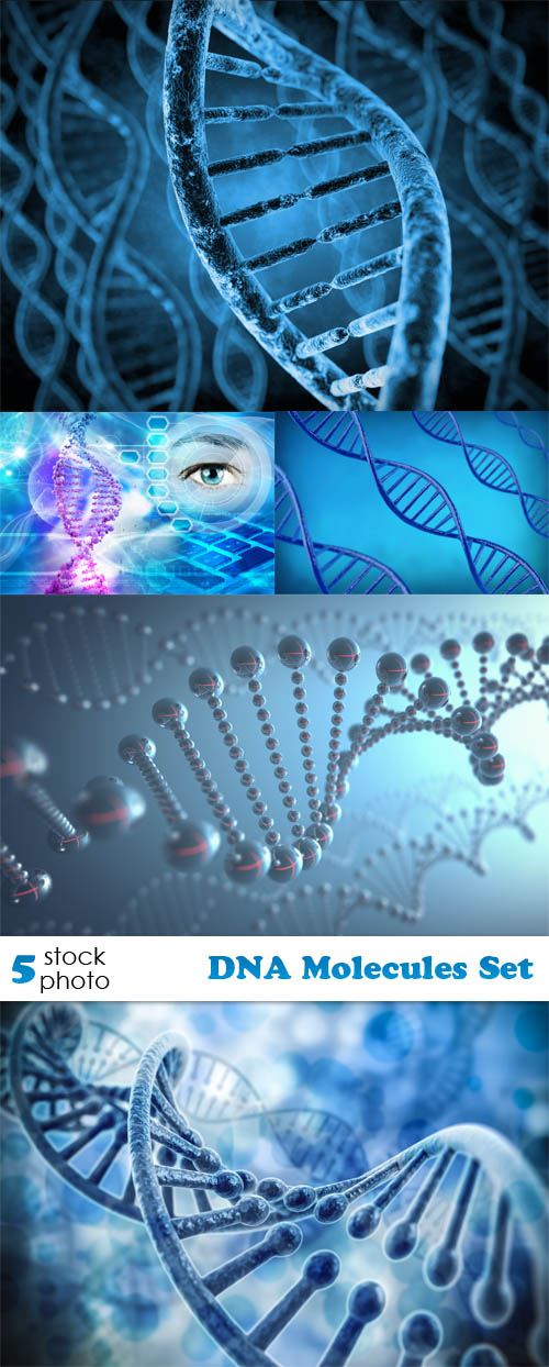 Photos - DNA Molecules Set