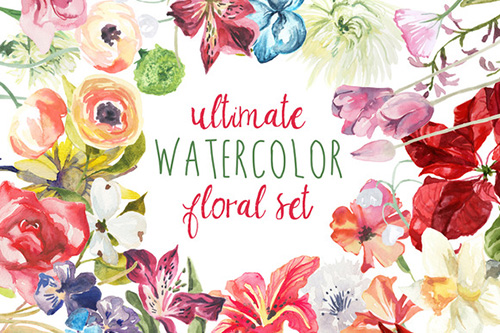 Ultimate Watercolor Floral Set - CM 140002