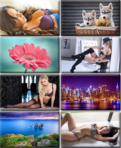 LIFEstyle News MiXture Images. Wallpapers Part (918)