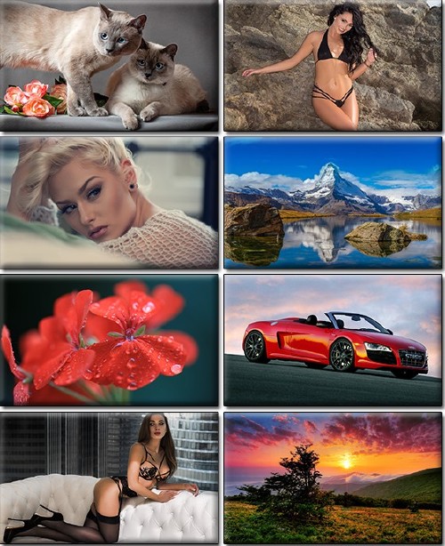LIFEstyle News MiXture Images. Wallpapers Part (933)