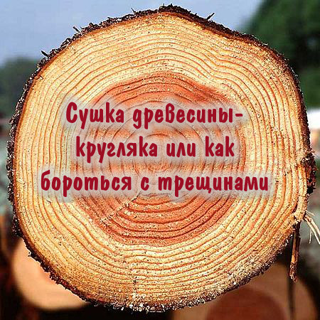 Сушка древесины-кругляка или как бороться с трещинами (2016) WEBRip