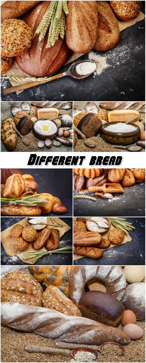 Different bread on a rustic dark background 