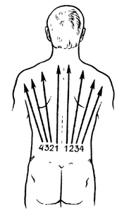Предварительный массаж спины