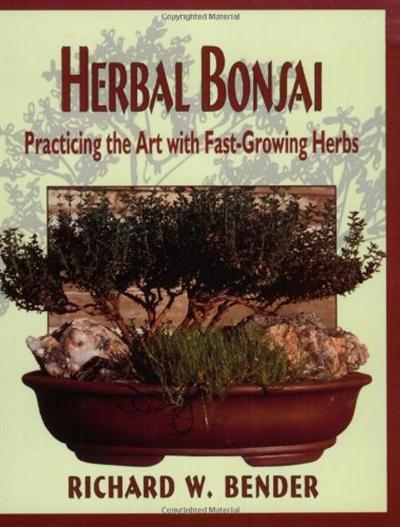 Bountiful Bonsai Create Instant Indoor Container Gardens With Edible