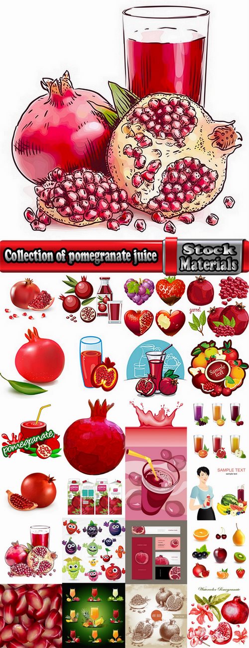 Collection of pomegranate juice garnet red rind seed vector image 25 EPS