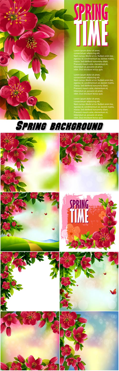 Spring vector background, cherry blossom