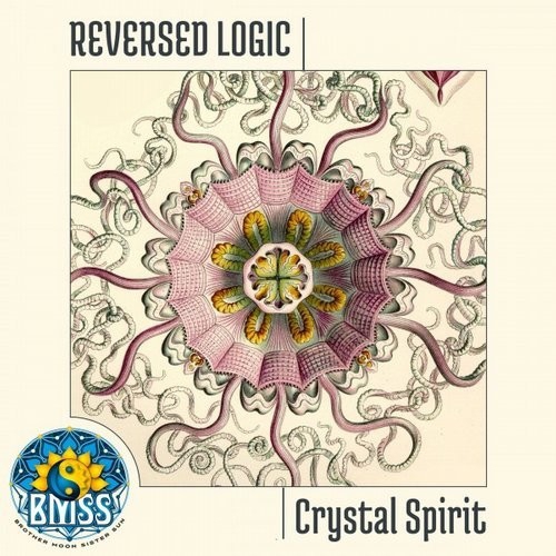 Reversed Logic - Crystal Spirit (2016)