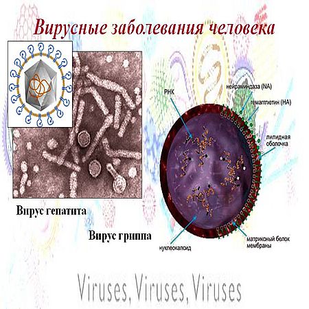 Вирусные заболевания. Вирус Герпеса, Папилломы, СПИД-а... Иммунная система (2016) WEBRip