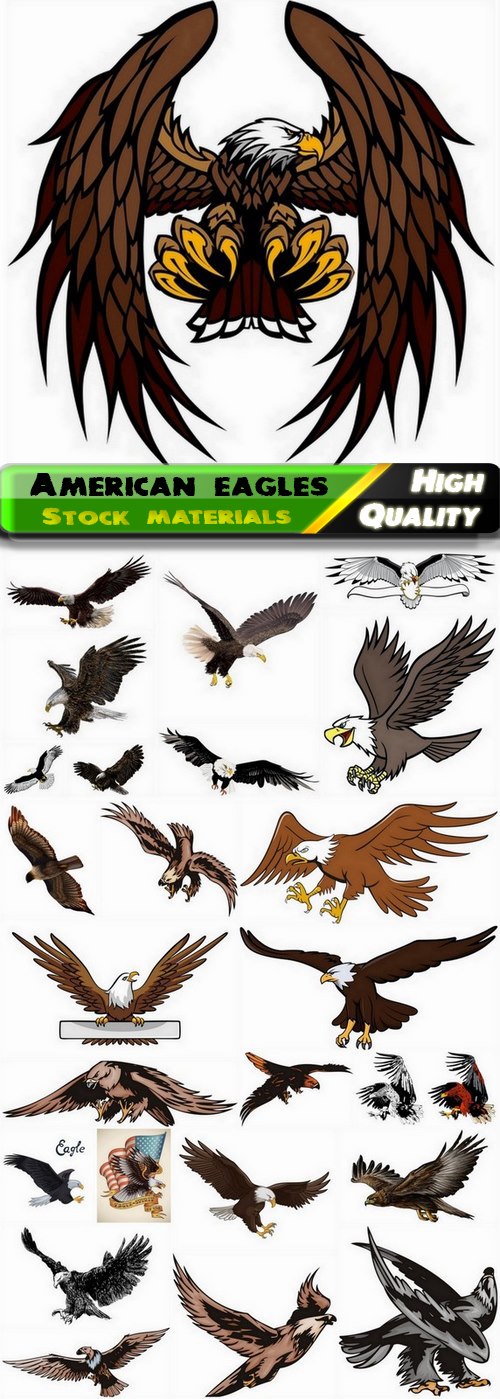 American eagles and heraldry elements - 25 Eps