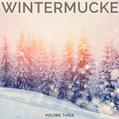 VA - Wintermucke, Vol. 3 (Finest Selection of Chilled Electronic Beats)(2015)